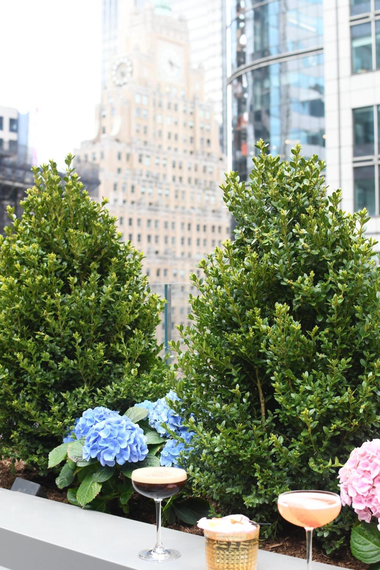 Hotel The Knickerbocker New York Esterno foto 'Green Mountain'